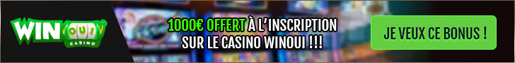 Jouer sur le casino en ligne WinOui