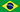 Brasilian