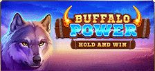 Machine à sous vidéo Buffalo Power